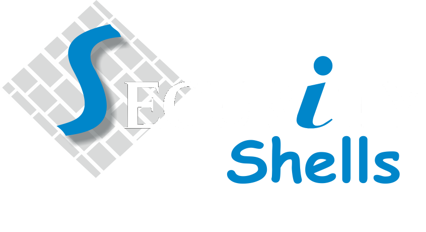 Security Shells Infotech